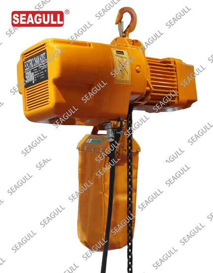 China > 20m Seagull/OEM Wooden Case 0.25t-10t Lifting Equipment Crane Hoist