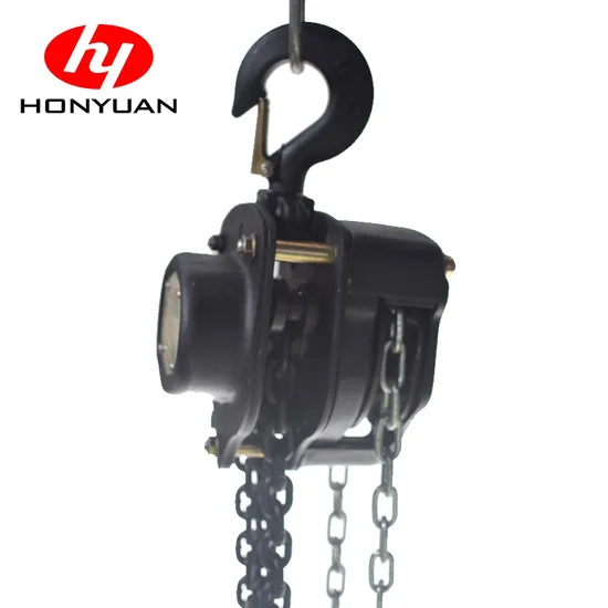 Lifting Hoist Overhead Crane Electric Chain Hoist High Quality