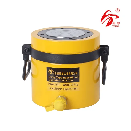 100 Ton 100mm Long Stroke Hydraulic RAM (FCY-100)