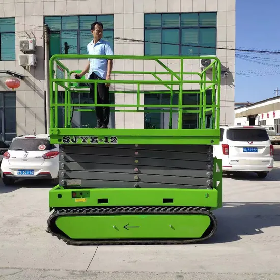 6m 8m 10m 12m 14m Warehouse Pallets Hydraulic Elevator Lift Platform