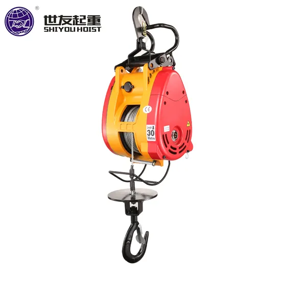 High Quality 500 Kg30m 110V/220V Mini Electric Hoist with Monorail