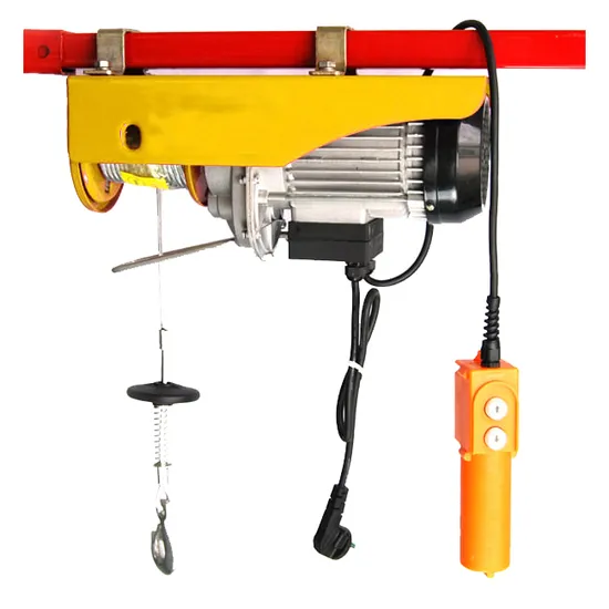 250/500kg Small Electric Hoist with Voltage 220V