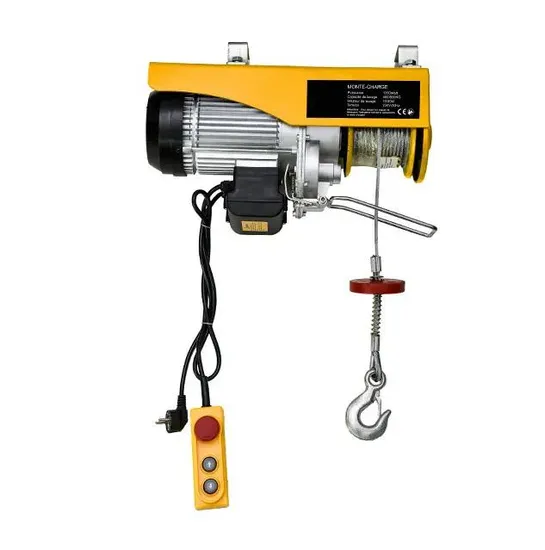 Hot Sell PA300kg Wire Rope Electric Hoist India