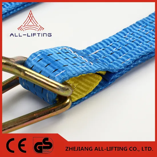 5tons Polyester Blue Ratchet Strap Cargo Lashing