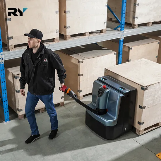 CE 1 Year Royal Standard Export Packing Forklift Electric Pallet Truck