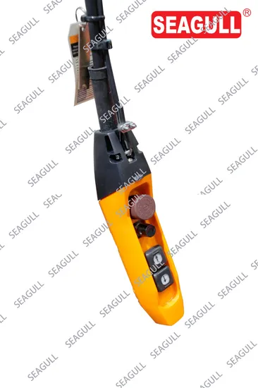 Compact Electric Hoist and Trolley Combo for Easy Transport