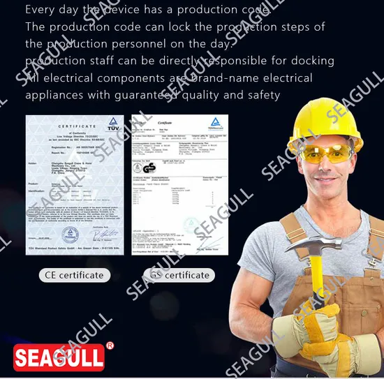 Free Charge of Spare Parts for Repair Lifting Equipment Hoist