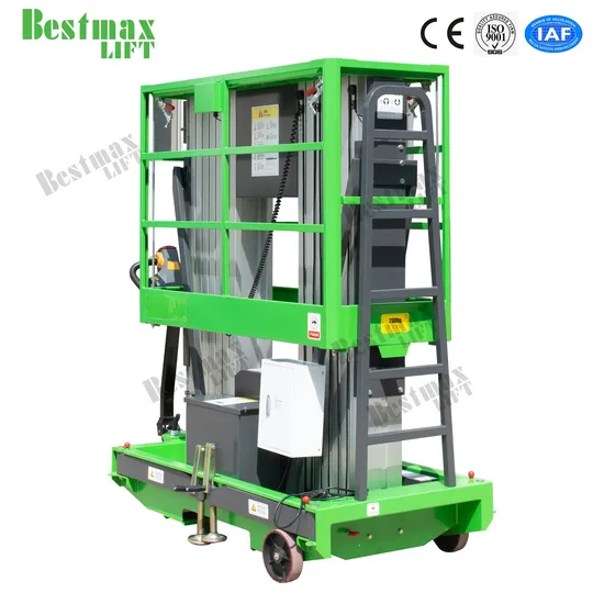 9m Double Mast Aluminum Vertical Lift with Tilting Function
