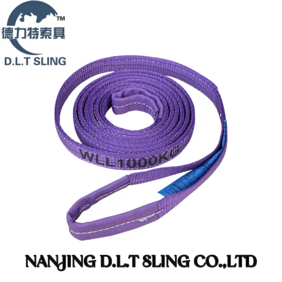 100% Polyester Eye-Eye Webbing Sling with CE GS Certificated, Standard in En1492.