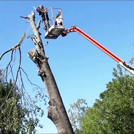10m-20m Telescopic Portable Boom Lift for Cherry Picker Tree Lopping Guys