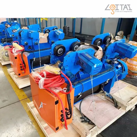 Fem Standard 10t Lhc-D Double Girder Hoist with High Quality for Workshop