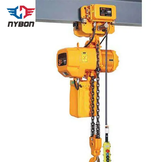 Heavy Duty Chain Hoist Widely Used Lifting Equipment Electric Hoist Custom Design 0.5t~15t