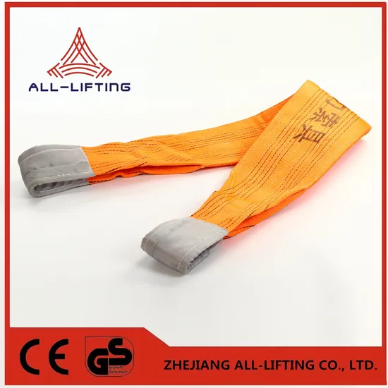 10t Double Flat Lifting Polyester Webbing Sling Sf7: 1