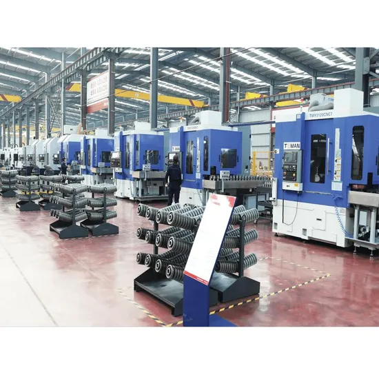20t~63t Zhxxxbs Standard Double Girder Hoist for Double Beams Crane