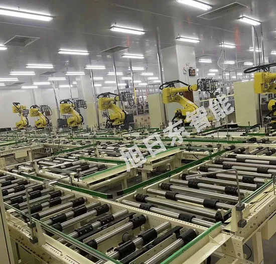 ASRS Conveyor Line Designed with Customized Capacity and Height and ISO9001 Certificate