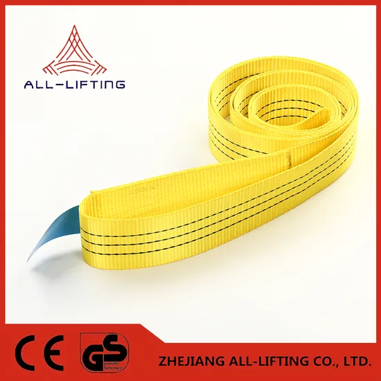 Hot Sale 3t Lifing Belt Polyester Endless Type Webbing Sling