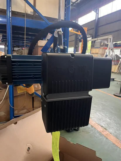 Hot-Selling Lifting Equipment Dmg 250kg Electric Chain Hoist